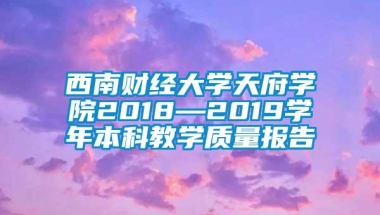 西南财经大学天府学院2018—2019学年本科教学质量报告