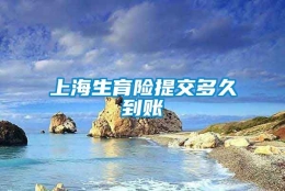 上海生育险提交多久到账