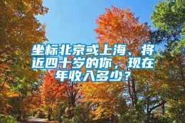 坐标北京或上海、将近四十岁的你，现在年收入多少？