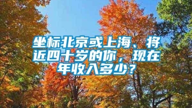 坐标北京或上海、将近四十岁的你，现在年收入多少？