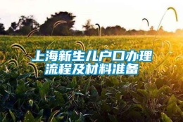 上海新生儿户口办理流程及材料准备