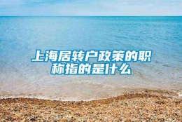 上海居转户政策的职称指的是什么