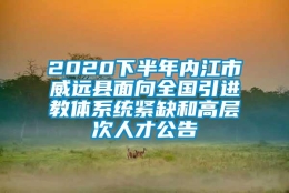 2020下半年内江市威远县面向全国引进教体系统紧缺和高层次人才公告