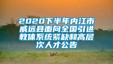 2020下半年内江市威远县面向全国引进教体系统紧缺和高层次人才公告