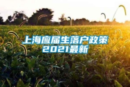 上海应届生落户政策2021最新