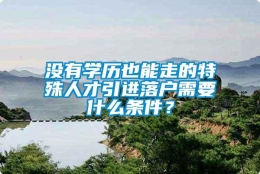 没有学历也能走的特殊人才引进落户需要什么条件？