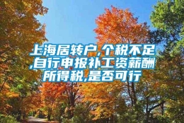 上海居转户,个税不足,自行申报补工资薪酬所得税,是否可行