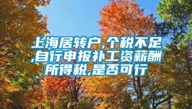 上海居转户,个税不足,自行申报补工资薪酬所得税,是否可行