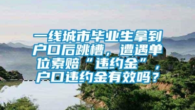 一线城市毕业生拿到户口后跳槽，遭遇单位索赔“违约金”，户口违约金有效吗？