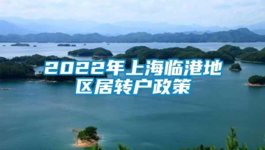 2022年上海临港地区居转户政策