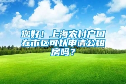 您好！上海农村户口在市区可以申请公租房吗？