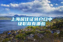 上海居住证转户口中级职称有哪些