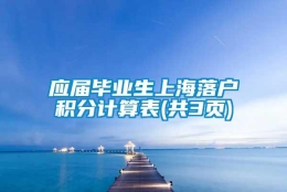 应届毕业生上海落户积分计算表(共3页)