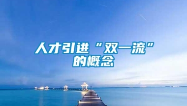 人才引进“双一流”的概念