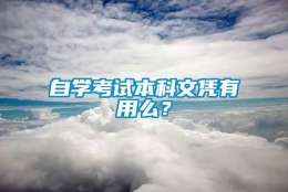 自学考试本科文凭有用么？