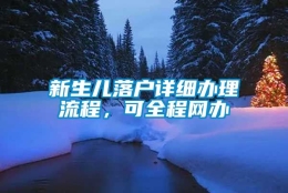 新生儿落户详细办理流程，可全程网办