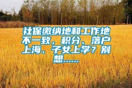 社保缴纳地和工作地不一致，积分、落户上海、子女上学？别想......