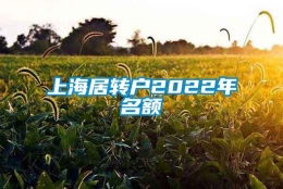 上海居转户2022年名额