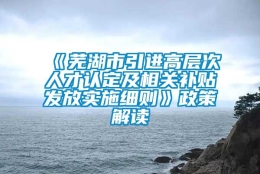 《芜湖市引进高层次人才认定及相关补贴发放实施细则》政策解读