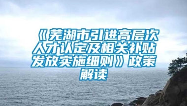 《芜湖市引进高层次人才认定及相关补贴发放实施细则》政策解读