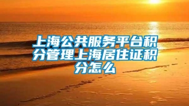 上海公共服务平台积分管理上海居住证积分怎么