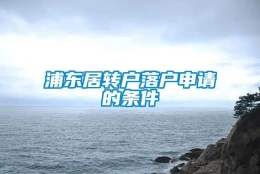 浦东居转户落户申请的条件