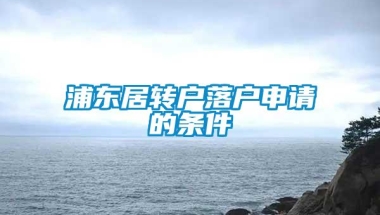 浦东居转户落户申请的条件