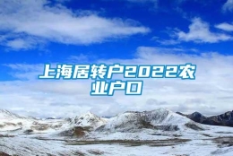 上海居转户2022农业户口