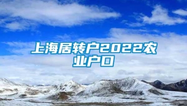 上海居转户2022农业户口