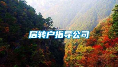 居转户指导公司