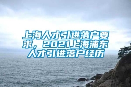 上海人才引进落户要求，2021上海浦东人才引进落户经历