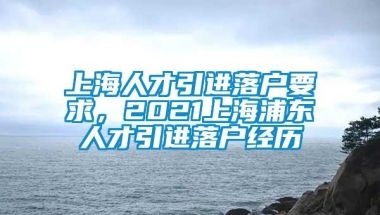 上海人才引进落户要求，2021上海浦东人才引进落户经历