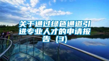 关于通过绿色通道引进专业人才的申请报告 (3)