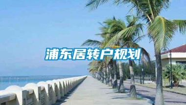 浦东居转户规划