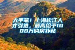 大手笔！上海松江人才引进，最高给予1000万购房补贴