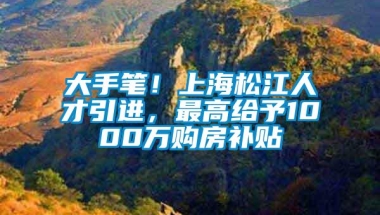 大手笔！上海松江人才引进，最高给予1000万购房补贴