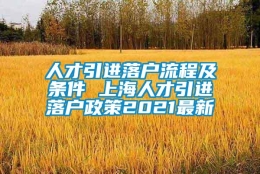 人才引进落户流程及条件 上海人才引进落户政策2021最新