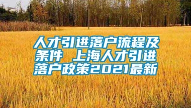 人才引进落户流程及条件 上海人才引进落户政策2021最新