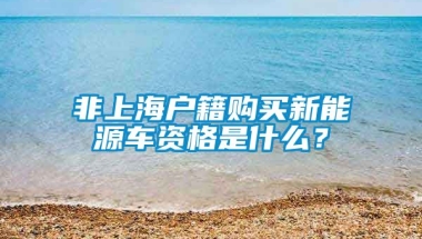 非上海户籍购买新能源车资格是什么？