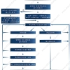 攻略！2021年上海居转户材料清单申请流程表格