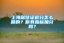 上海居住证积分怎么算的？你有指标加分吗？