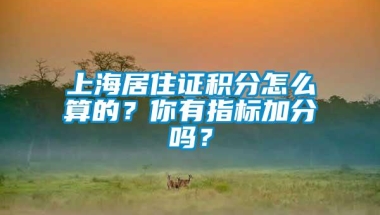 上海居住证积分怎么算的？你有指标加分吗？