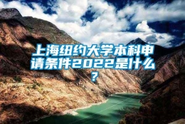 上海纽约大学本科申请条件2022是什么？