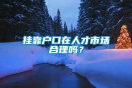 挂靠户口在人才市场合理吗？