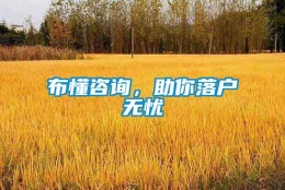 布懂咨询，助你落户无忧