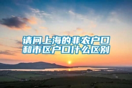 请问上海的非农户口和市区户口什么区别