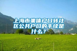 上海市集体户口转社区公共户口的手续是什么？