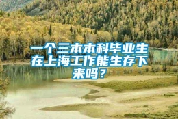 一个三本本科毕业生在上海工作能生存下来吗？