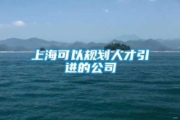 上海可以规划人才引进的公司