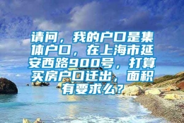 请问，我的户口是集体户口，在上海市延安西路900号，打算买房户口迁出，面积有要求么？